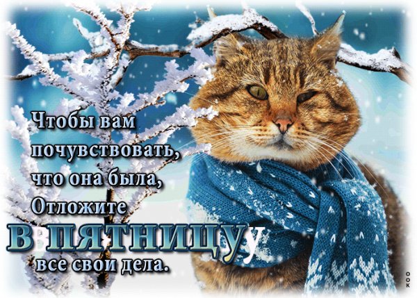 IMG 20240224 002116
