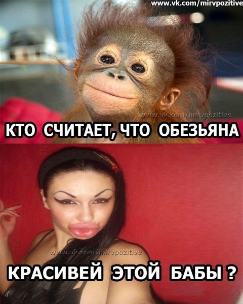 file_71057376