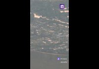 Герань расцвела в Николаеве