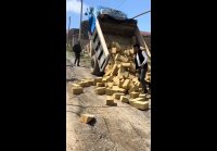 video_106992468