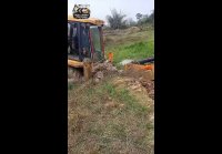 video_107025702