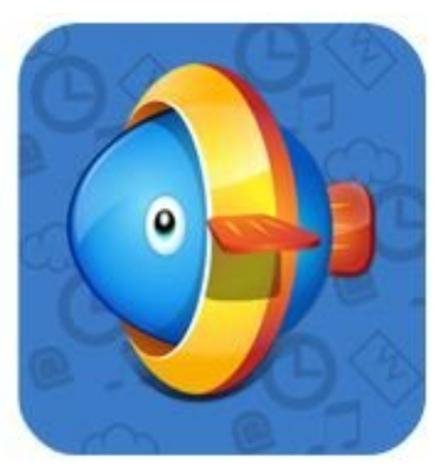 Xwidget v1 97-mod