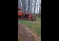 video_107427115