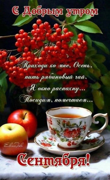 IMG-20250901-WA0014