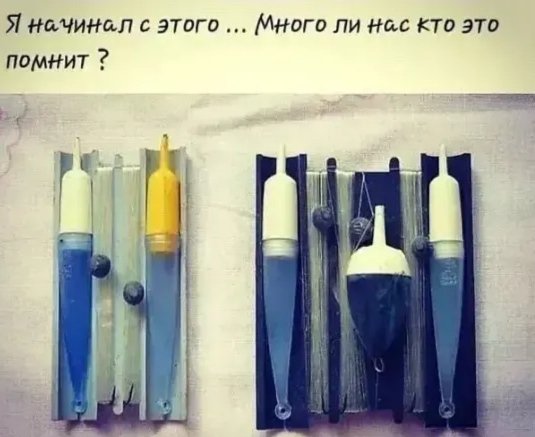 IMG 20220511 065718