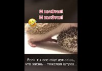 VID-20250425-WA0019