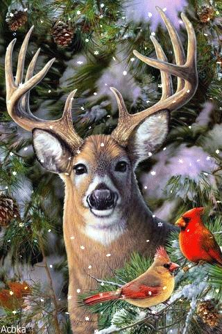 file_75715894