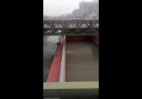 video_106150364
