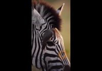 Имя отутствует123456