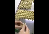 video_84349760