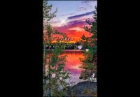 VID-20241105-WA0001