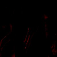 DarkBleeder's heart