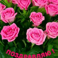 file_79731933