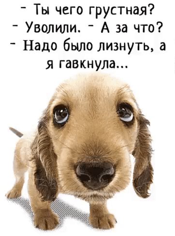 IMG 20230310 193126