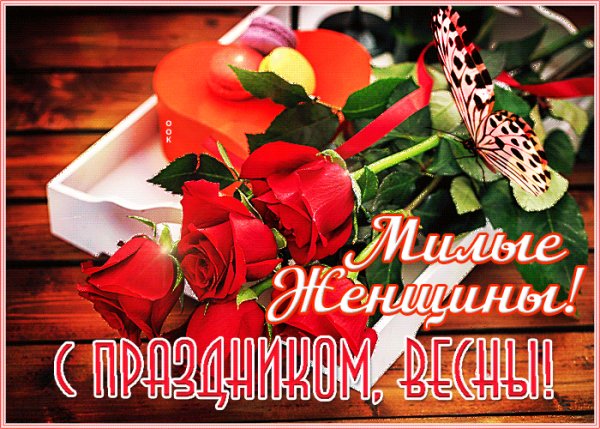 IMG 20210308 173629