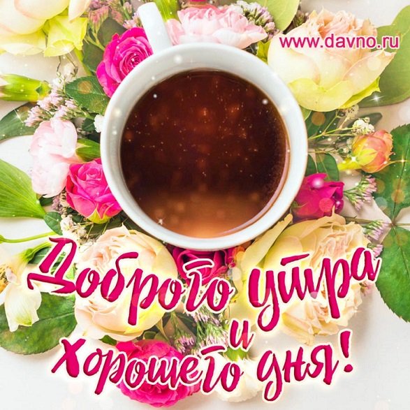Доброго утра и хорошего дня!