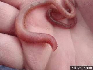 file_61067229