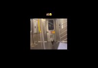 Танец пакетика