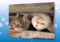 Юморнем! Женская логика