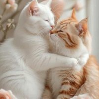 file_101284473