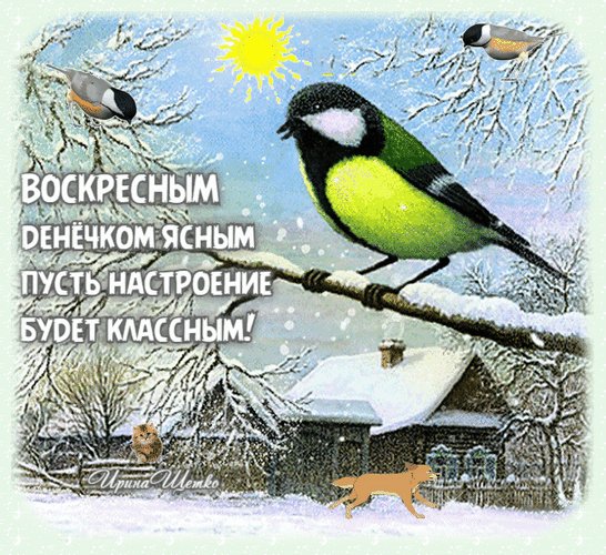 Анимированная открытка воскресным денёчком