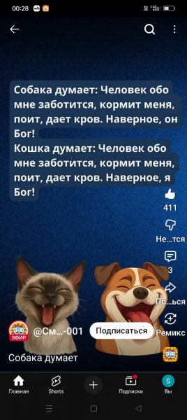 IMG-20250912-WA0003