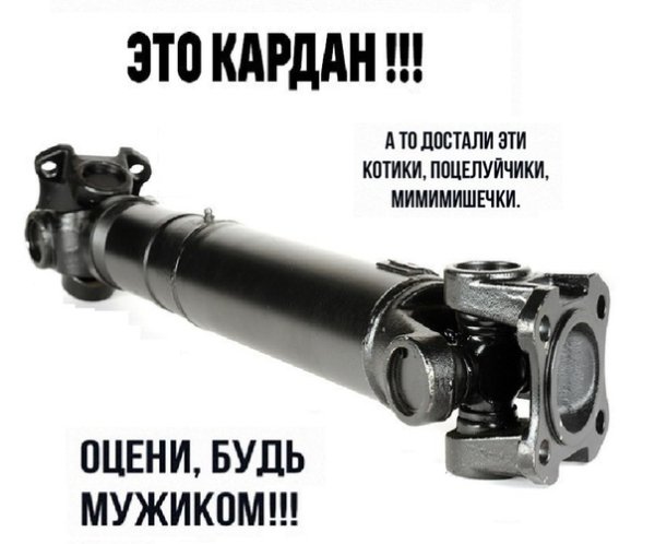 file_75027034