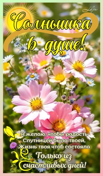 IMG 20250820 051505 304