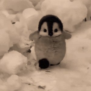 Go
