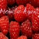 Raspberry splash Mobile Agent by Storm