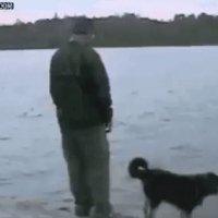 юмор 205501