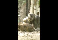 IMG 1882