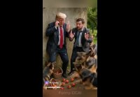 Clip423983092 456242599
