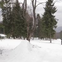 29.01.2017 - 1