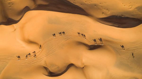 CamelsAbove ROW9578460012 UHD