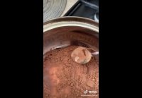 Шоколадный брауни