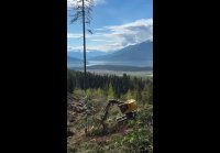 video_109015971