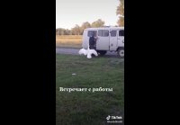 video_46061162
