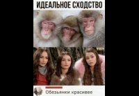 video_104173705