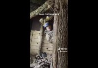 Геноцид зеленого от собственного населения