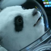 99px ru animacii 10419 panda uletaet v kosmos