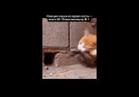 VID20260311180820400