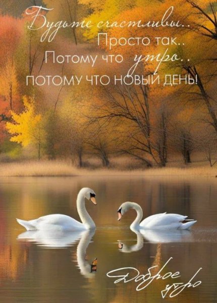 Будьте счастливы просто так, потому что утро, потому что...