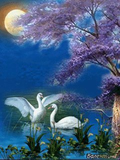 file_58366691