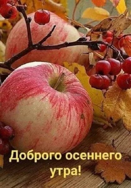 Доброго осеннего утра!