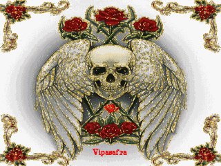 death320x2 rxkw6mvm