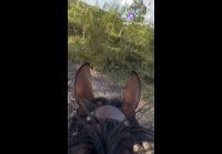 video_109851421