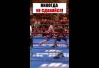video_89103606