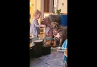 video_103669633