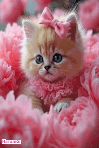 file_102263300